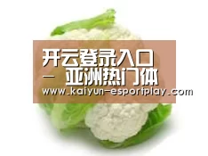 产品名称九