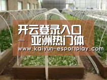环境展示五