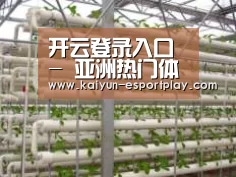 环境展示六
