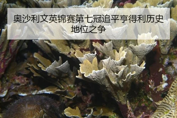 ao-sha-li-wen-ying-jin-sai-di-qi-guan-zhui-ping-heng-de-li-li-shi-di-wei-zhi-zheng-3-167.jpg