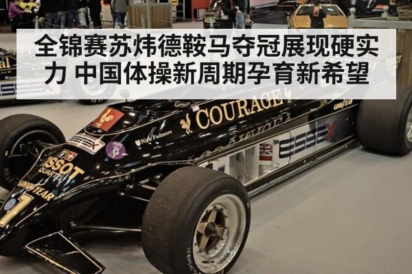 全锦赛苏炜德鞍马夺冠展现硬实力 中国体操新周期孕育新希望