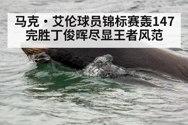 马克·艾伦球员锦标赛轰147完胜丁俊晖尽显王者风范
