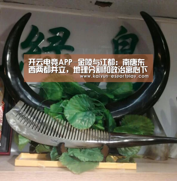 开云电竞APP