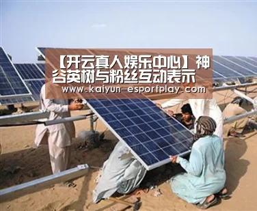开云登录入口