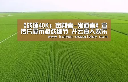 开云登录入口