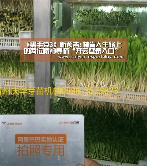 《黑手党3》新预告:林肯人生路上的两位精神导师“开云登录入口”(图1) 开云电竞APP